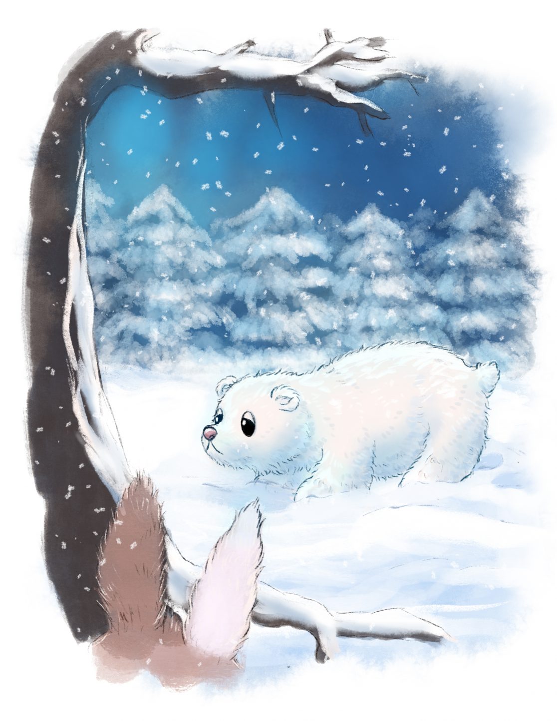 Illustration für Himmeldonnerglöckchen von Jasmin Zipperling: Eisbär (c) Esther Wagner