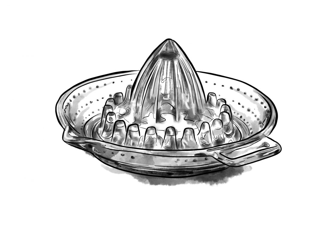 Nikas Erben: Briefe aus dem Sturm - Einen alten Baum