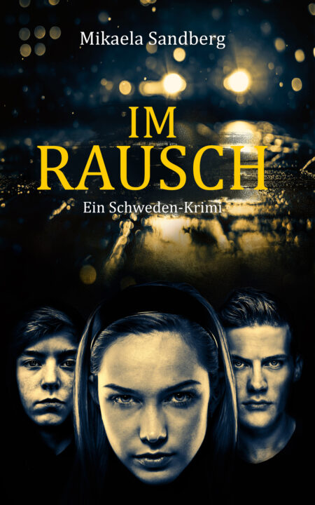 Buchcover: Michaela Stadelmann - Im Rausch